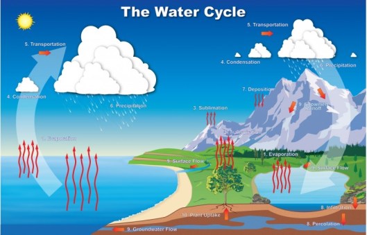 The Water Cycle