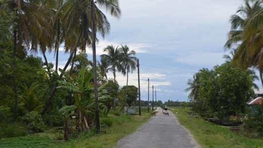 Dartmouth Village - Essequibo Coast - Guyana